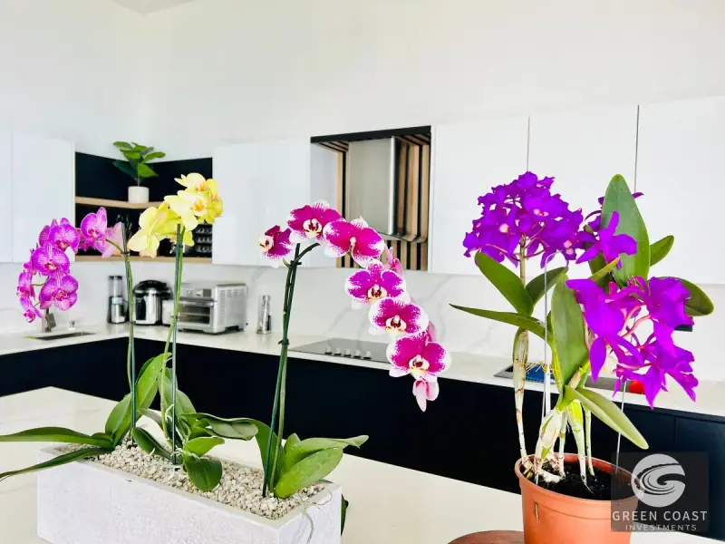 Modern Luxury Mountain-View Villa in Prestigious Monte la Cruz — view 43, Perez Zeledon, Costa Rica