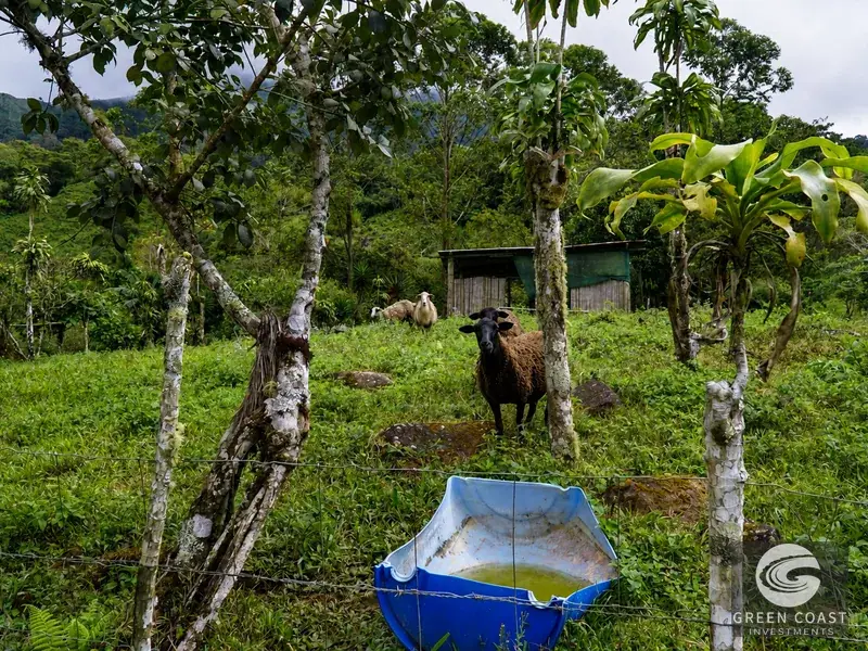 Highland Eco-Farm Near Mount Chirripó with Breathtaking Mountain Views — view 9, Perez Zeledon, Costa Rica
