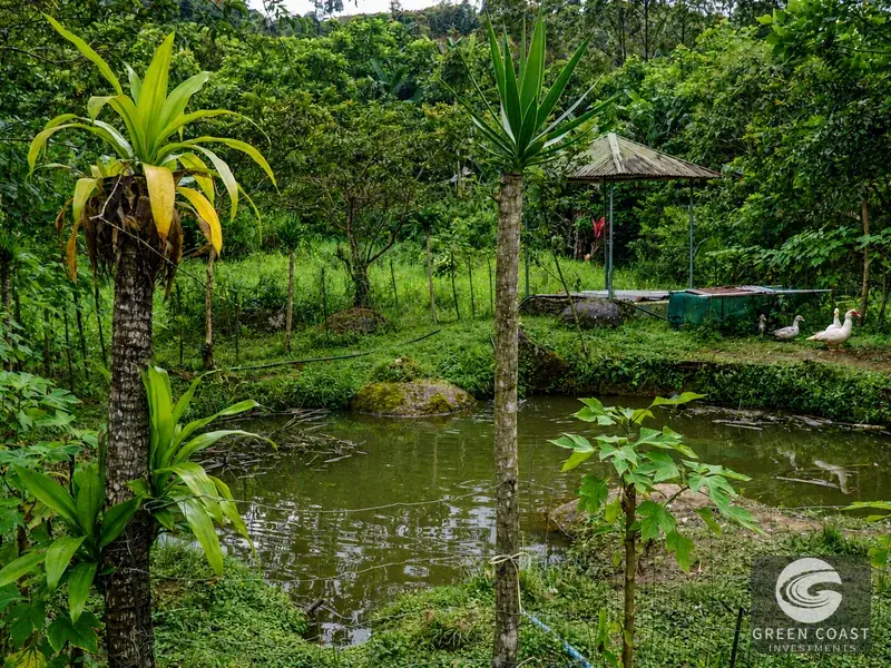 Highland Eco-Farm Near Mount Chirripó with Breathtaking Mountain Views — view 10, Perez Zeledon, Costa Rica
