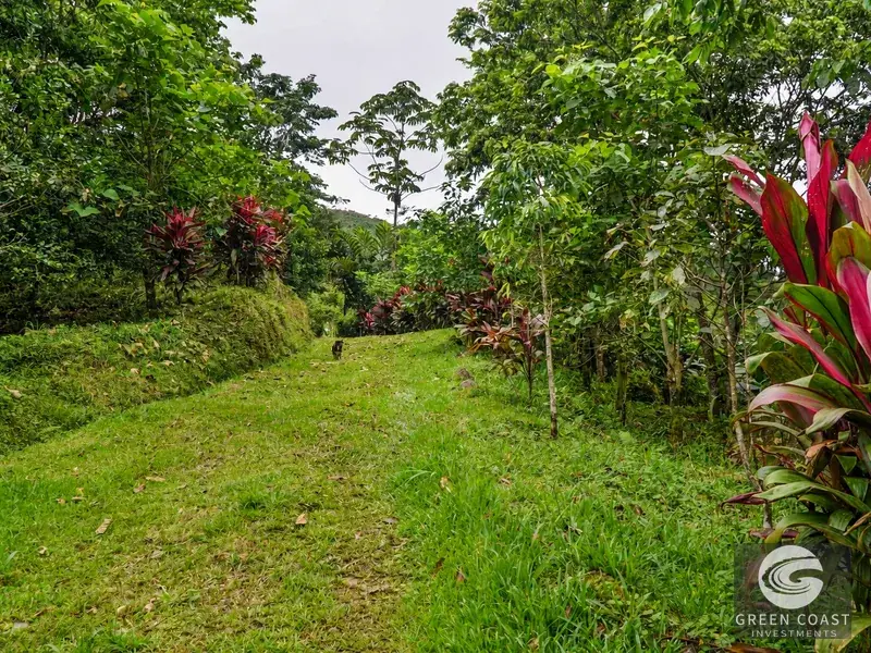 Highland Eco-Farm Near Mount Chirripó with Breathtaking Mountain Views — view 25, Perez Zeledon, Costa Rica