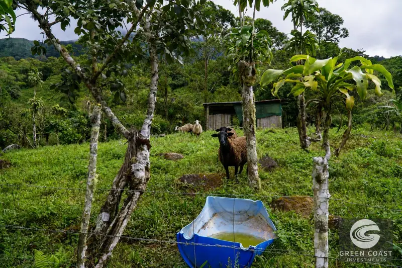 Highland Eco-Farm Near Mount Chirripó with Breathtaking Mountain Views — view 43, Perez Zeledon, Costa Rica
