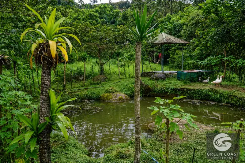 Highland Eco-Farm Near Mount Chirripó with Breathtaking Mountain Views — view 44, Perez Zeledon, Costa Rica