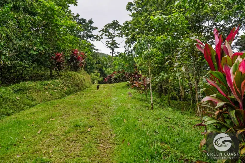 Highland Eco-Farm Near Mount Chirripó with Breathtaking Mountain Views — view 59, Perez Zeledon, Costa Rica