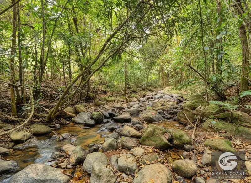 6-Bed Eco-Estate with Creek & Food Forest in Perez Zeledon — view 2, Perez Zeledon, Costa Rica
