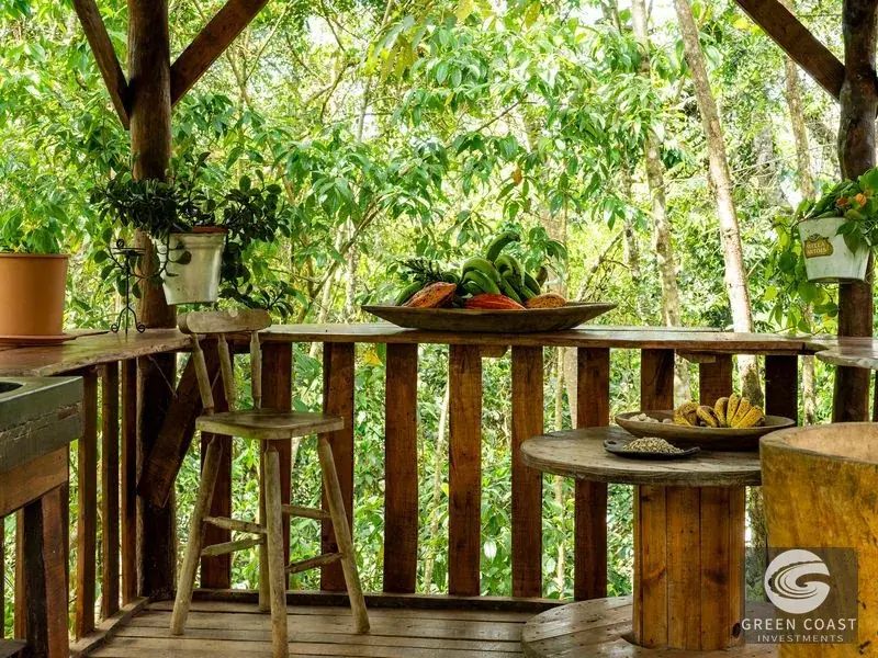6-Bed Eco-Estate with Creek & Food Forest in Perez Zeledon — view 5, Perez Zeledon, Costa Rica