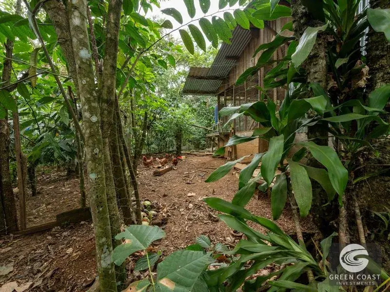 6-Bed Eco-Estate with Creek & Food Forest in Perez Zeledon — view 30, Perez Zeledon, Costa Rica