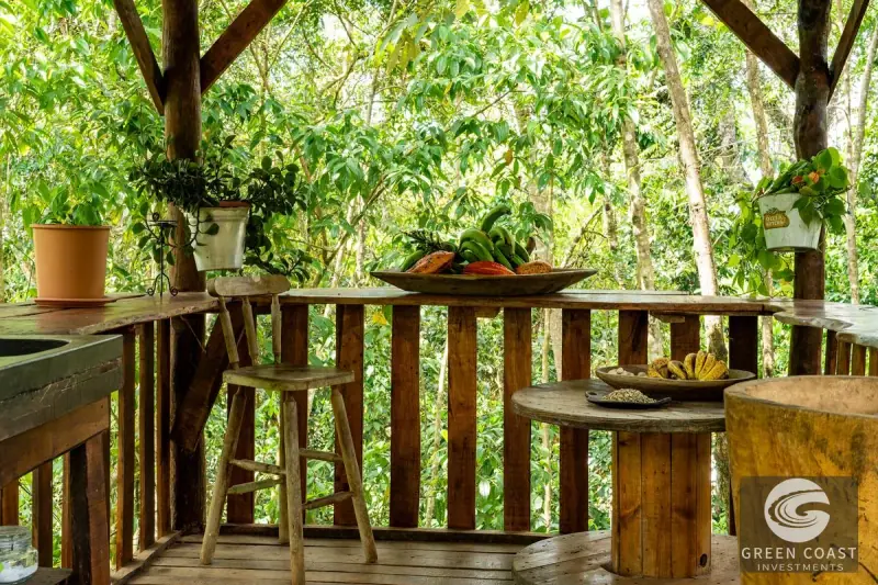 6-Bed Eco-Estate with Creek & Food Forest in Perez Zeledon — view 39, Perez Zeledon, Costa Rica