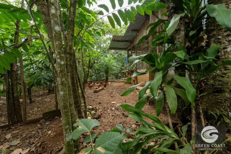 6-Bed Eco-Estate with Creek & Food Forest in Perez Zeledon — view 64, Perez Zeledon, Costa Rica