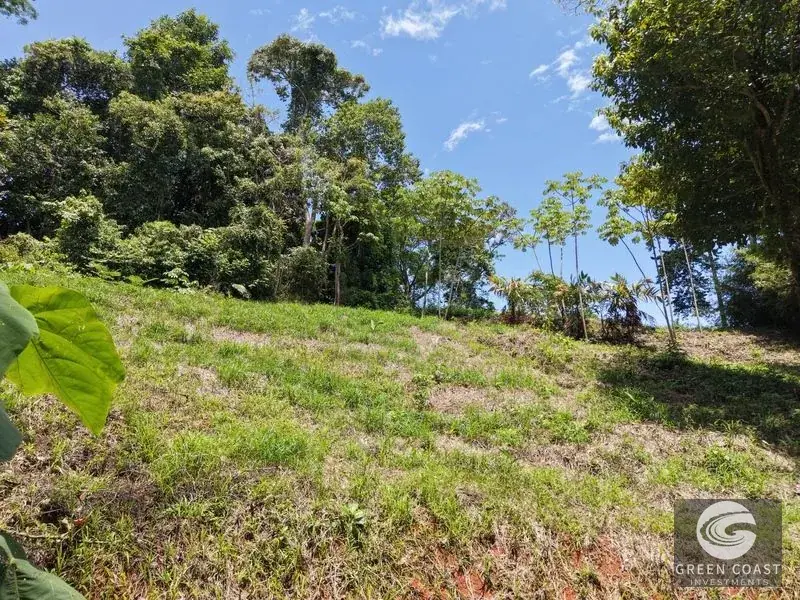 Premier Ocean-View Estate Lot in Exclusive Vista Dominical Gated Community — view 4, Dominical, Costa Rica