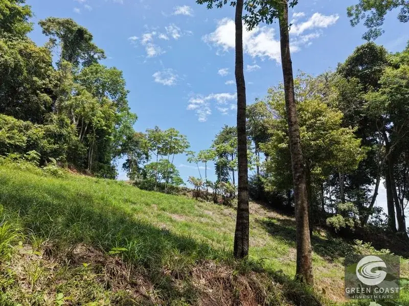 Premier Ocean-View Estate Lot in Exclusive Vista Dominical Gated Community — view 5, Dominical, Costa Rica