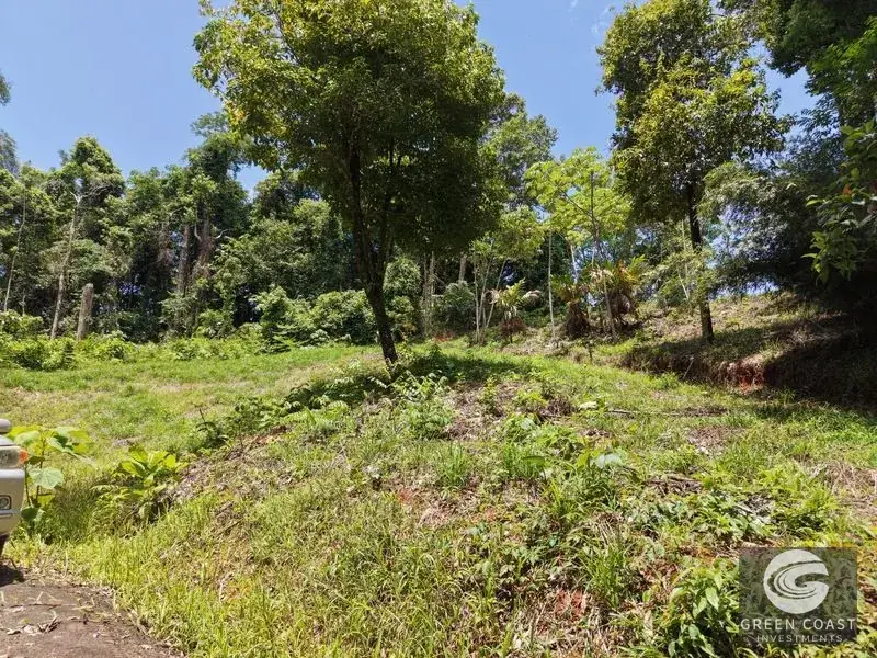 Premier Ocean-View Estate Lot in Exclusive Vista Dominical Gated Community — view 6, Dominical, Costa Rica