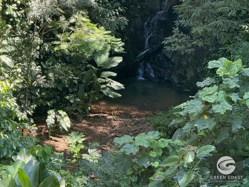 Premier Ocean-View Estate Lot in Exclusive Vista Dominical Gated Community — view 8, Dominical, Costa Rica
