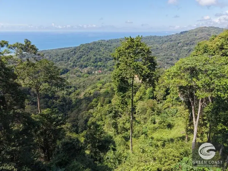Premier Ocean-View Estate Lot in Exclusive Vista Dominical Gated Community — view 12, Dominical, Costa Rica
