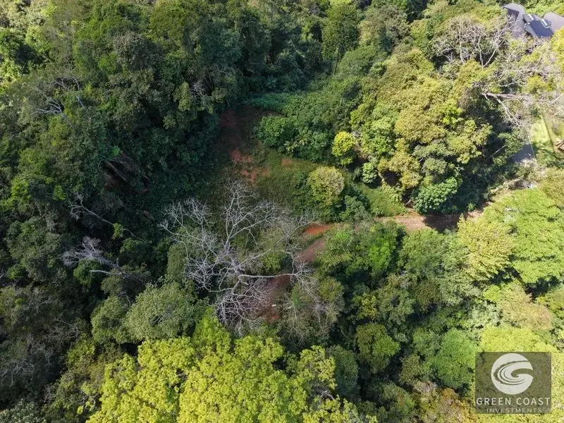 Premier Ocean-View Estate Lot in Exclusive Vista Dominical Gated Community — view 13, Dominical, Costa Rica