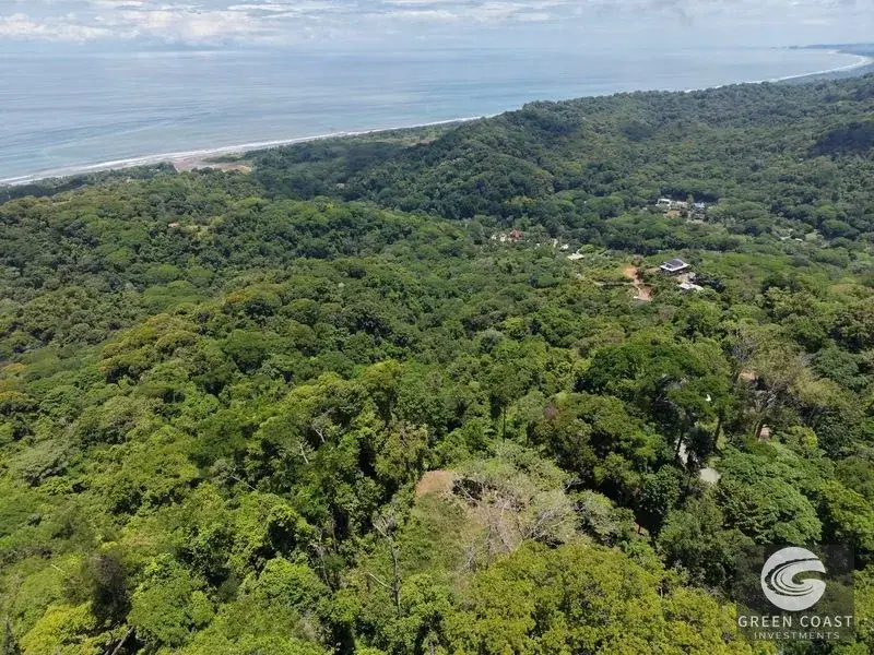Premier Ocean-View Estate Lot in Exclusive Vista Dominical Gated Community — view 17, Dominical, Costa Rica