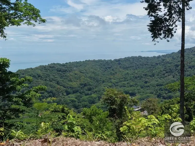 Premier Ocean-View Estate Lot in Exclusive Vista Dominical Gated Community — view 18, Dominical, Costa Rica