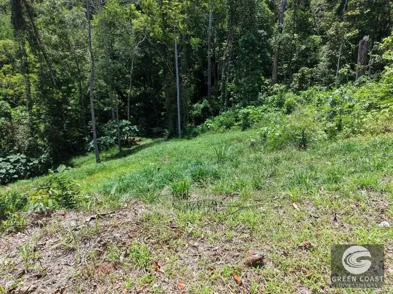 Premier Ocean-View Estate Lot in Exclusive Vista Dominical Gated Community — view 20, Dominical, Costa Rica