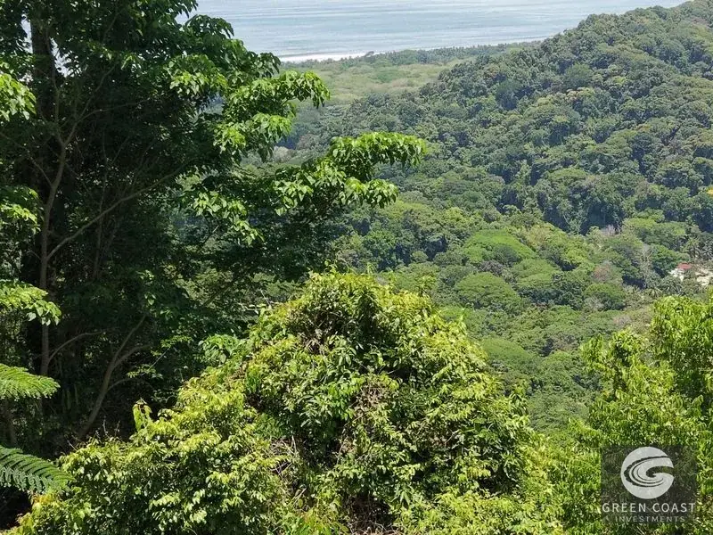 Premier Ocean-View Estate Lot in Exclusive Vista Dominical Gated Community — view 21, Dominical, Costa Rica