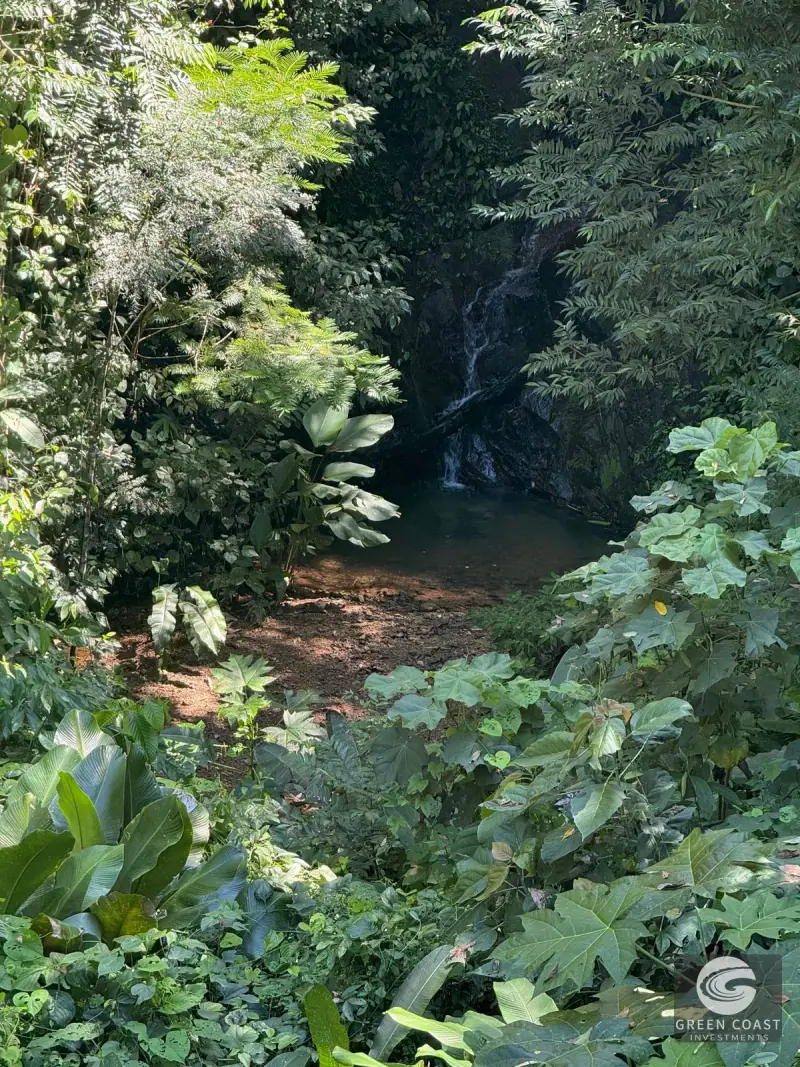 Premier Ocean-View Estate Lot in Exclusive Vista Dominical Gated Community — view 33, Dominical, Costa Rica