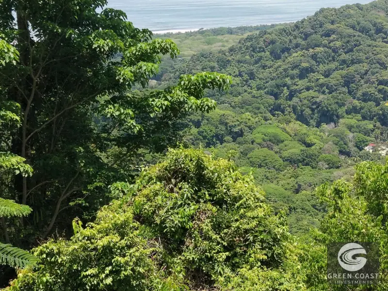 Premier Ocean-View Estate Lot in Exclusive Vista Dominical Gated Community — view 46, Dominical, Costa Rica