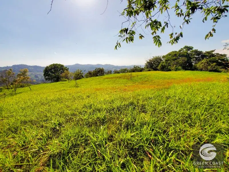 22-Acre Ocean-View Estate with Massive Flat Building Pad in San Salvador de Baru — view 2, Tinamastes, Pérez Zeledón, Costa Rica