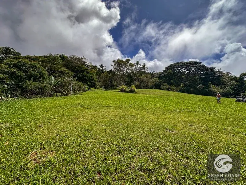 22-Acre Ocean-View Estate with Massive Flat Building Pad in San Salvador de Baru — view 4, Tinamastes, Pérez Zeledón, Costa Rica