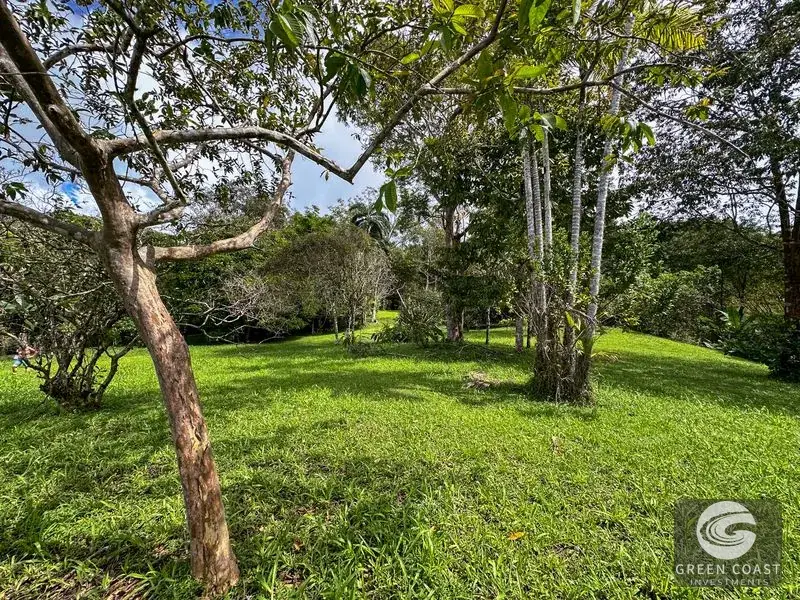 22-Acre Ocean-View Estate with Massive Flat Building Pad in San Salvador de Baru — view 7, Tinamastes, Pérez Zeledón, Costa Rica