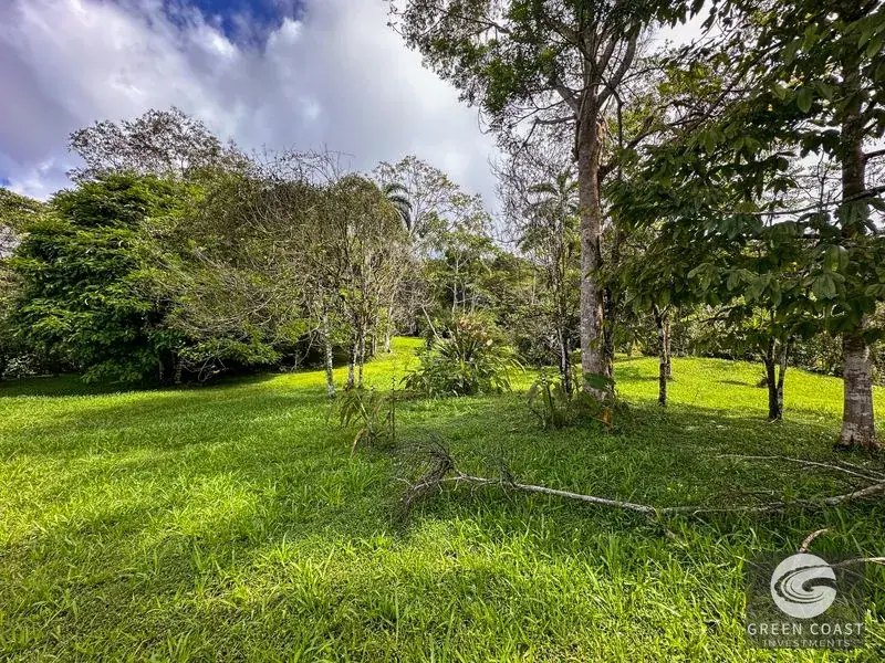 22-Acre Ocean-View Estate with Massive Flat Building Pad in San Salvador de Baru — view 8, Tinamastes, Pérez Zeledón, Costa Rica