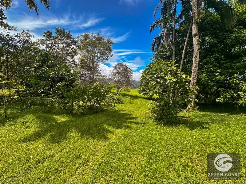 22-Acre Ocean-View Estate with Massive Flat Building Pad in San Salvador de Baru — view 11, Tinamastes, Pérez Zeledón, Costa Rica