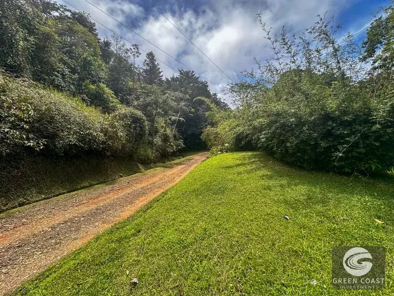 22-Acre Ocean-View Estate with Massive Flat Building Pad in San Salvador de Baru — view 13, Tinamastes, Pérez Zeledón, Costa Rica