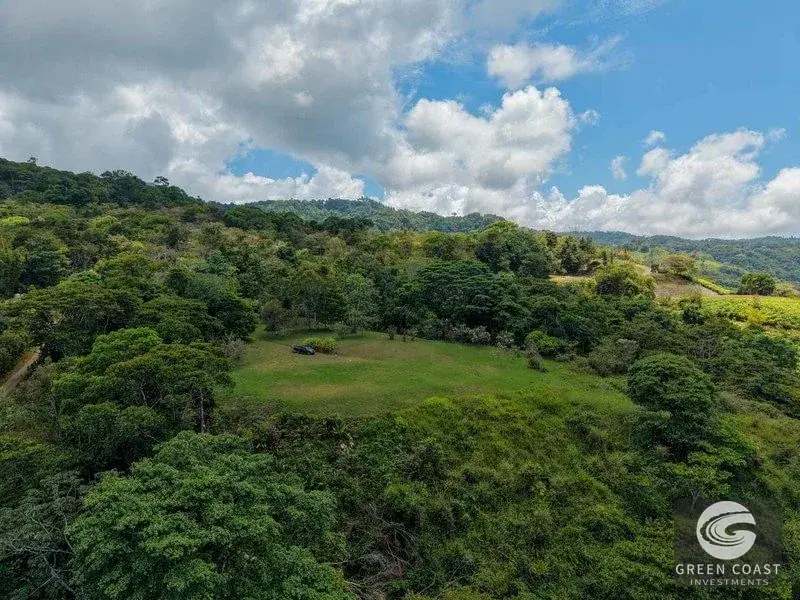 22-Acre Ocean-View Estate with Massive Flat Building Pad in San Salvador de Baru — view 16, Tinamastes, Pérez Zeledón, Costa Rica