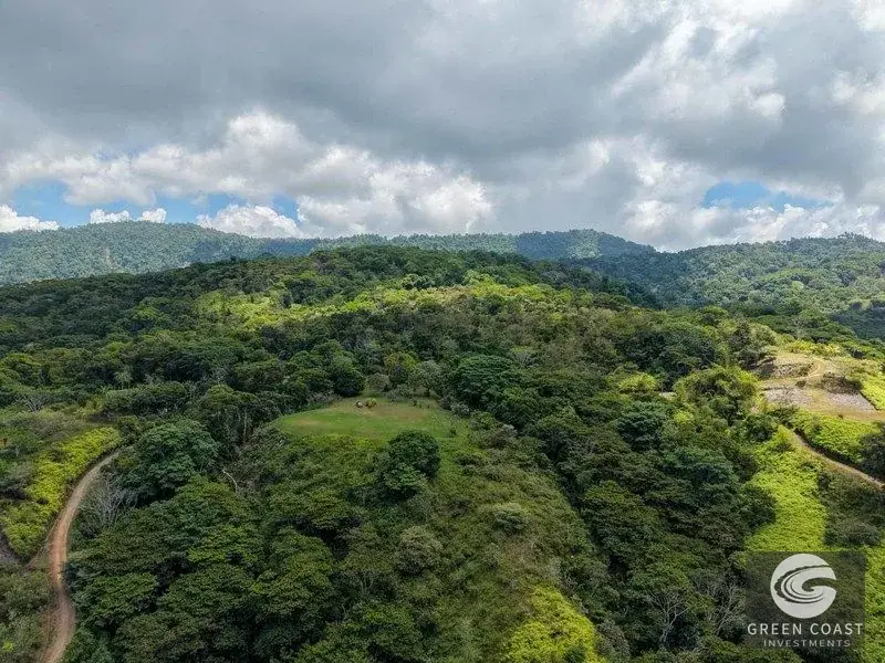 22-Acre Ocean-View Estate with Massive Flat Building Pad in San Salvador de Baru — view 17, Tinamastes, Pérez Zeledón, Costa Rica