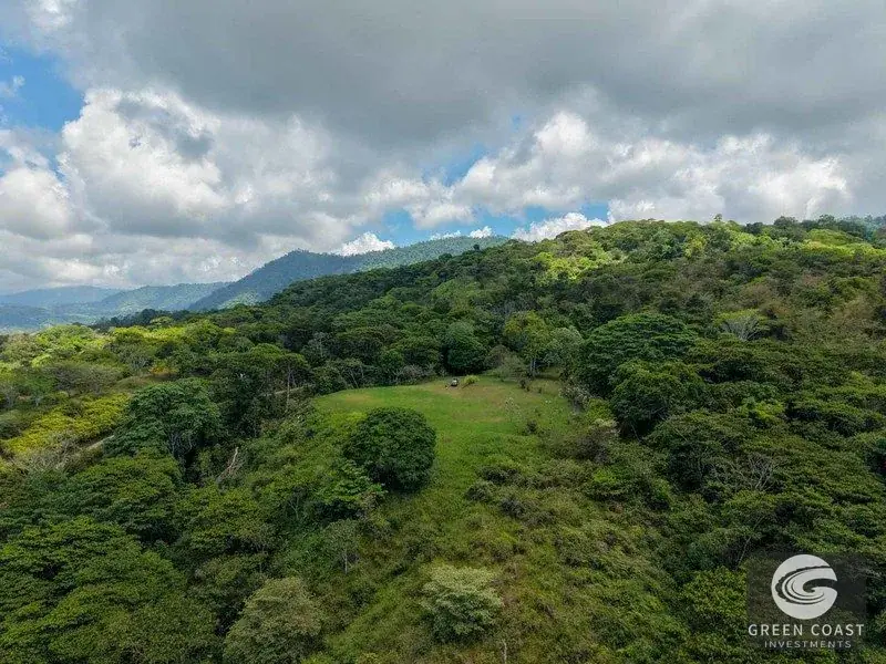 22-Acre Ocean-View Estate with Massive Flat Building Pad in San Salvador de Baru — view 19, Tinamastes, Pérez Zeledón, Costa Rica
