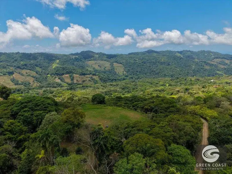 22-Acre Ocean-View Estate with Massive Flat Building Pad in San Salvador de Baru — view 20, Tinamastes, Pérez Zeledón, Costa Rica