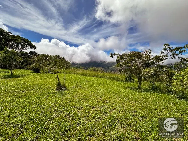 22-Acre Ocean-View Estate with Massive Flat Building Pad in San Salvador de Baru — view 21, Tinamastes, Pérez Zeledón, Costa Rica