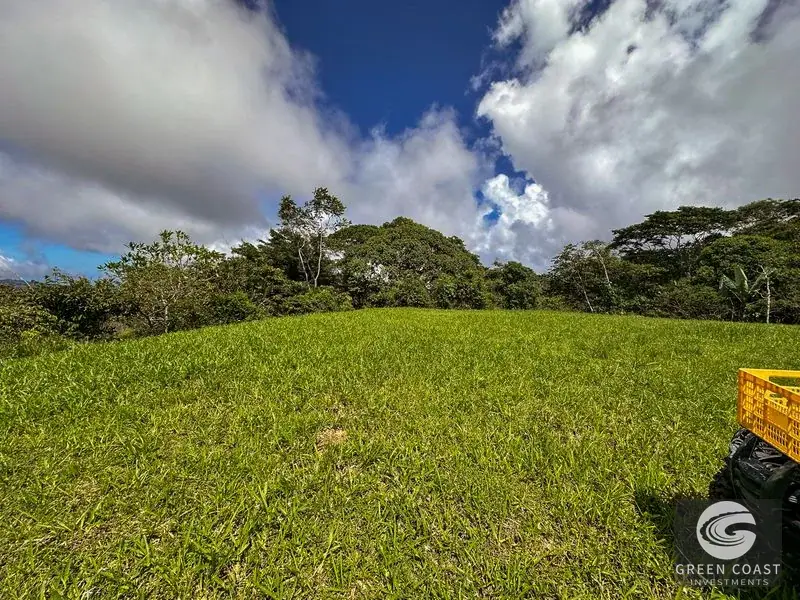 22-Acre Ocean-View Estate with Massive Flat Building Pad in San Salvador de Baru — view 22, Tinamastes, Pérez Zeledón, Costa Rica