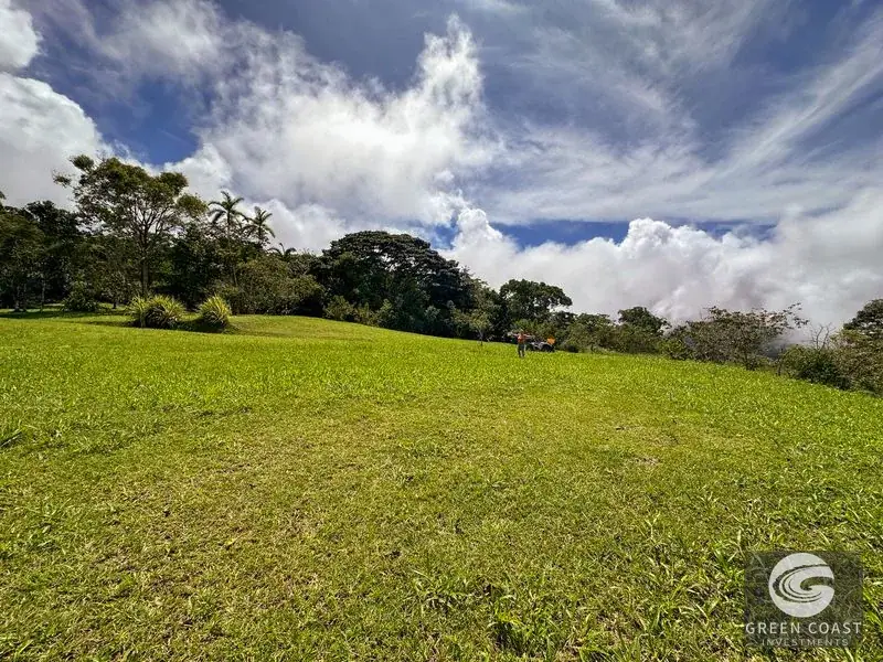 22-Acre Ocean-View Estate with Massive Flat Building Pad in San Salvador de Baru — view 23, Tinamastes, Pérez Zeledón, Costa Rica