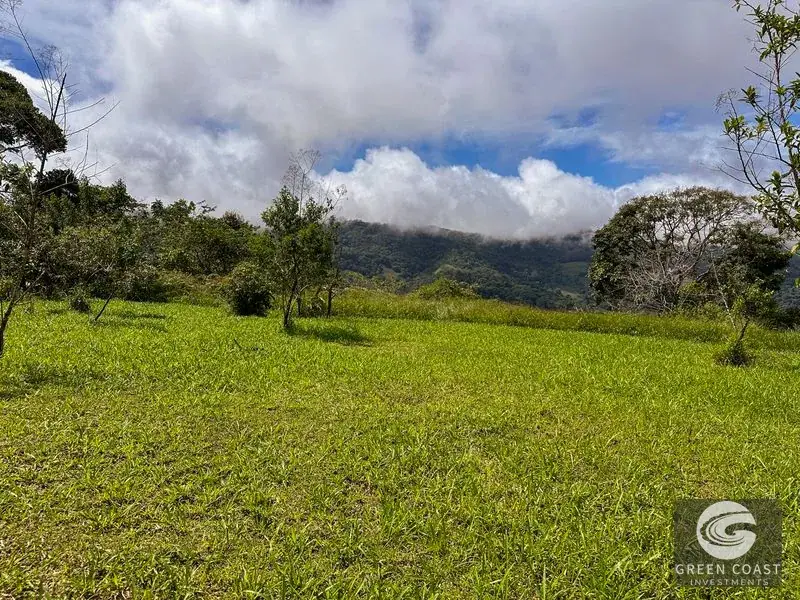 22-Acre Ocean-View Estate with Massive Flat Building Pad in San Salvador de Baru — view 25, Tinamastes, Pérez Zeledón, Costa Rica