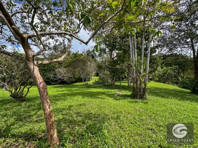 22-Acre Ocean-View Estate with Massive Flat Building Pad in San Salvador de Baru — view 36, Tinamastes, Pérez Zeledón, Costa Rica