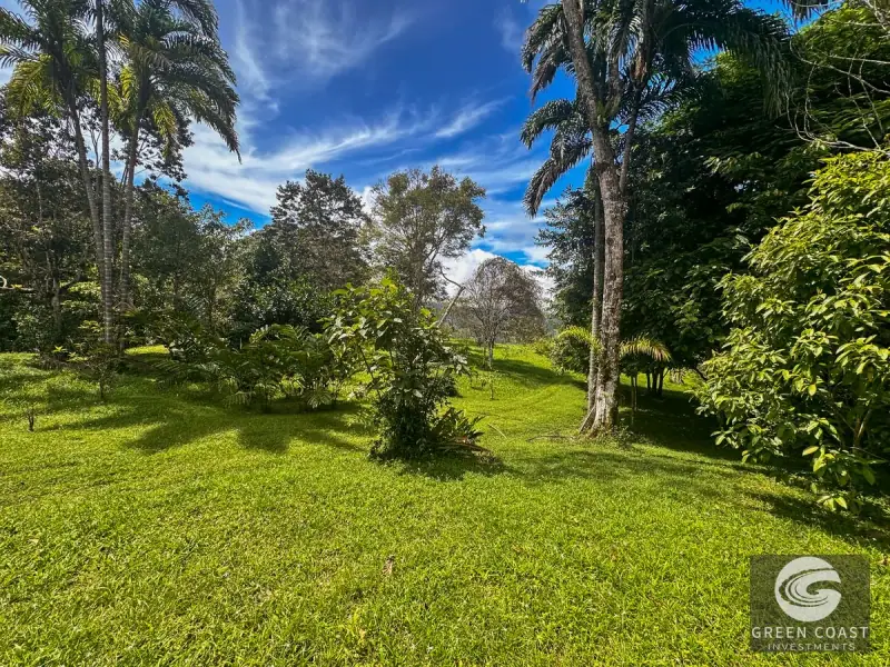 22-Acre Ocean-View Estate with Massive Flat Building Pad in San Salvador de Baru — view 39, Tinamastes, Pérez Zeledón, Costa Rica