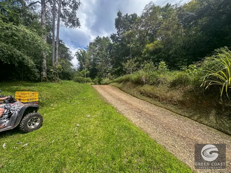 22-Acre Ocean-View Estate with Massive Flat Building Pad in San Salvador de Baru — view 43, Tinamastes, Pérez Zeledón, Costa Rica