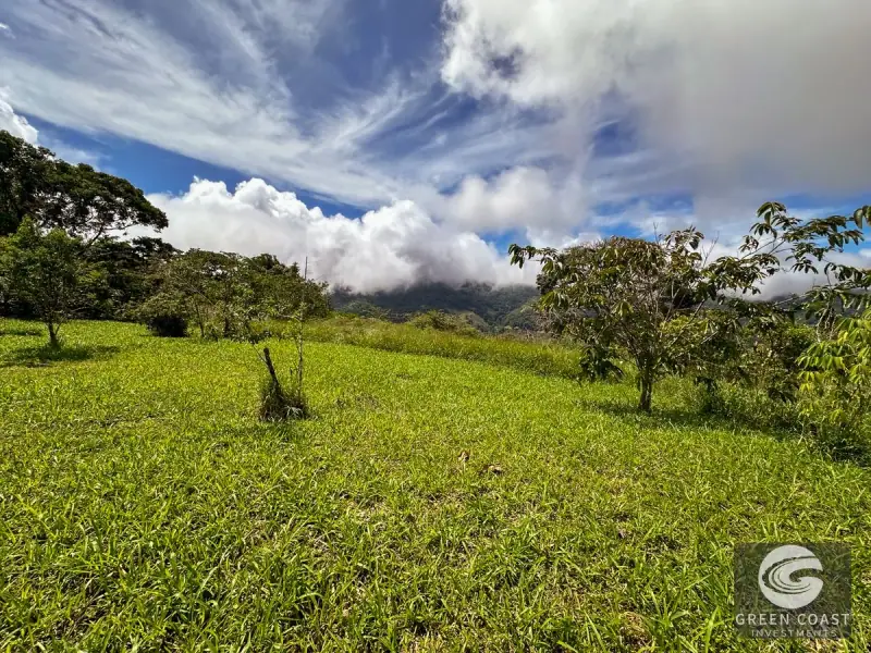22-Acre Ocean-View Estate with Massive Flat Building Pad in San Salvador de Baru — view 50, Tinamastes, Pérez Zeledón, Costa Rica
