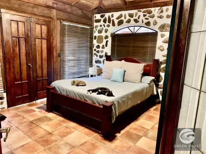 Ojochal Riverfront Estate with Private Pool, Guest Lot and Lush Tropical Gardens — view 18, Ojochal, Costa Rica