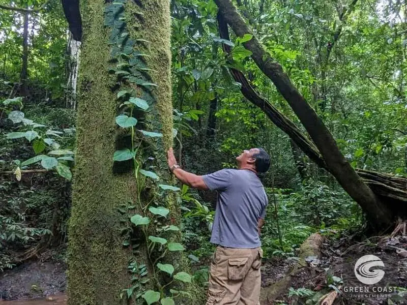 Ocean-View Parrita Farm: 43-Acre Coastal Paradise with Waterfalls & Building Sites — view 14, Parrita, Costa Rica