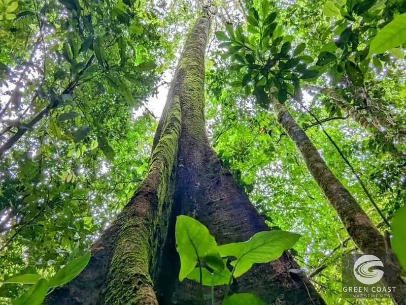 Ocean-View Parrita Farm: 43-Acre Coastal Paradise with Waterfalls & Building Sites — view 18, Parrita, Costa Rica
