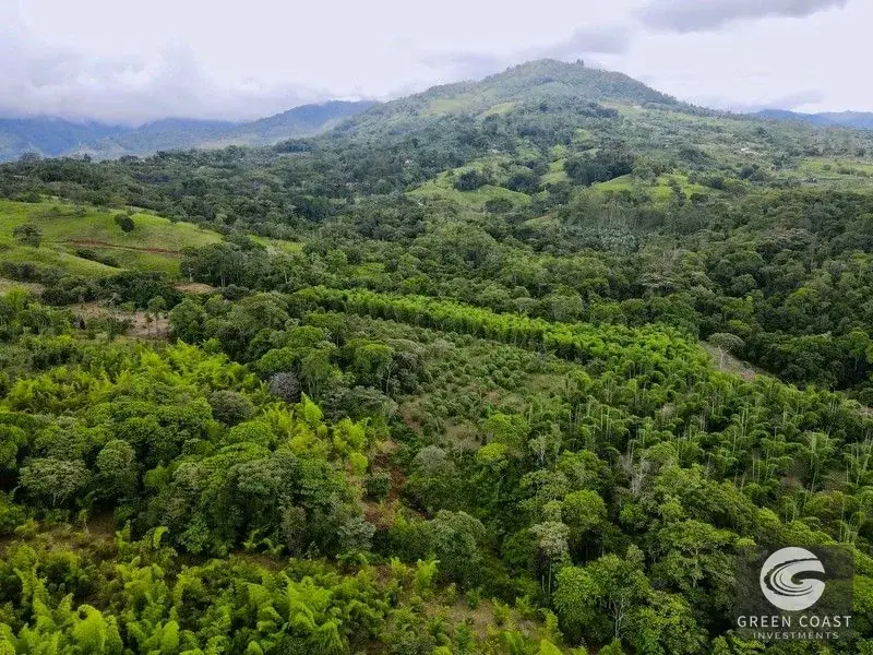 Ocean-View Parrita Farm: 43-Acre Coastal Paradise with Waterfalls & Building Sites — view 23, Parrita, Costa Rica