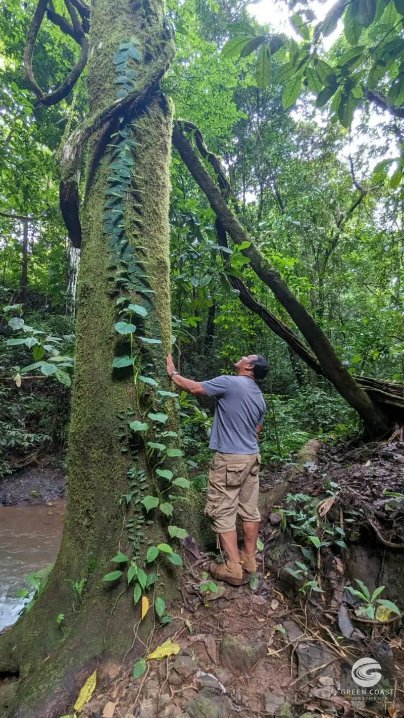 Ocean-View Parrita Farm: 43-Acre Coastal Paradise with Waterfalls & Building Sites — view 37, Parrita, Costa Rica