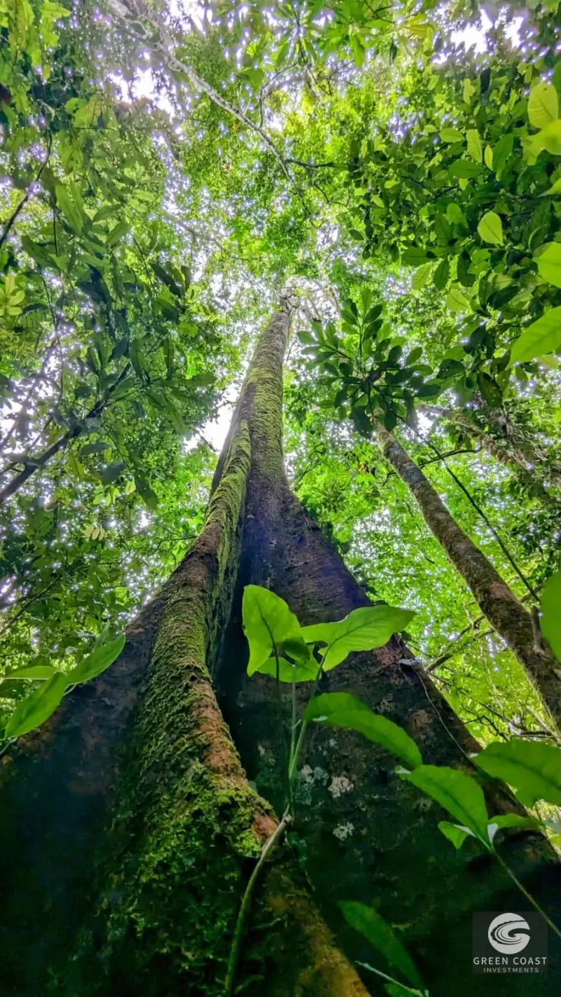 Ocean-View Parrita Farm: 43-Acre Coastal Paradise with Waterfalls & Building Sites — view 41, Parrita, Costa Rica