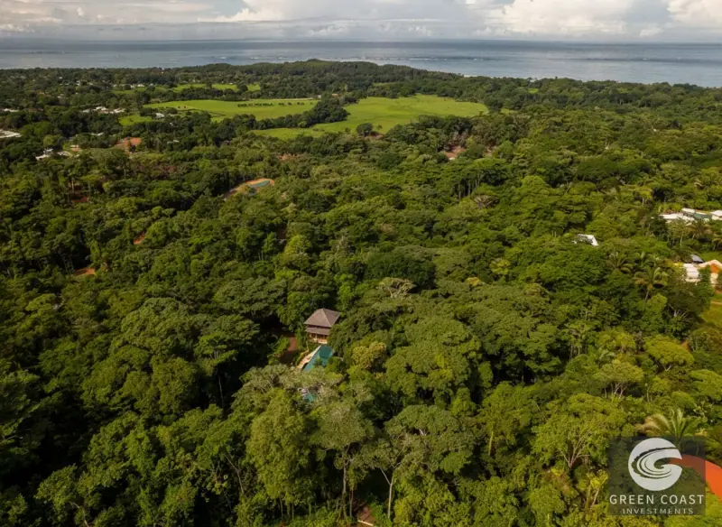 Balinese-Style Jungle Oasis in Uvita with Pool & Guest Suite — view 2, Bahía Ballena, Osa, Costa Rica