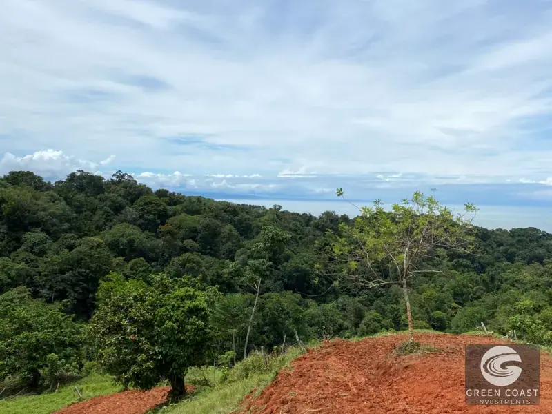 Ocean-View Ridge Estate in Piñuela: 3 Prime Building Sites Near Uvita — view 9, Uvita, Costa Rica
